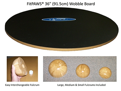 FitPAWS 50 cm Wobble Board